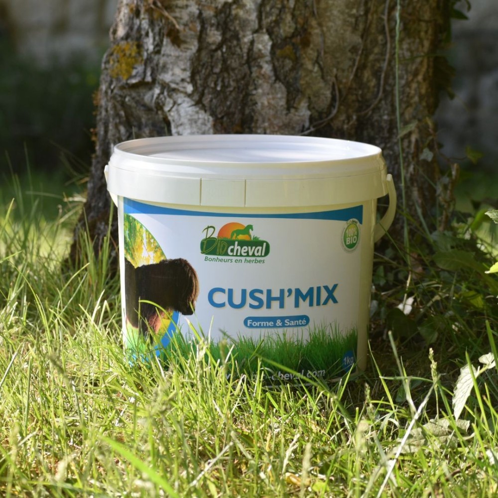 cavallo cushing cosa fare?