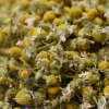Scentless Orgánica 1 kg