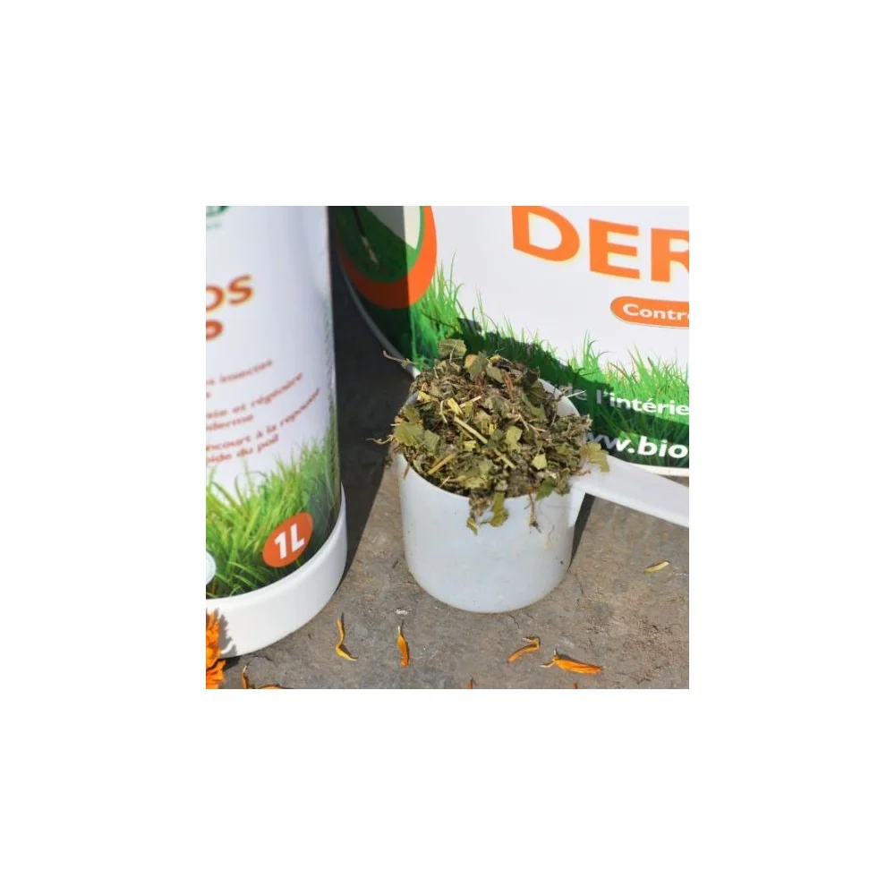 Traitement naturel de la dermite estivale