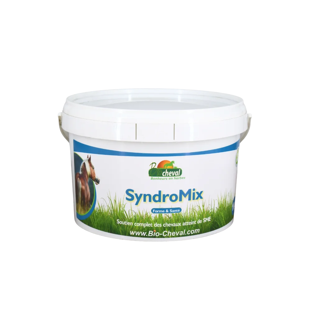 Syndromix | Supporto EMS