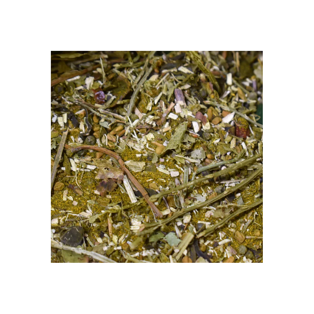 Syndromix | EMS Support