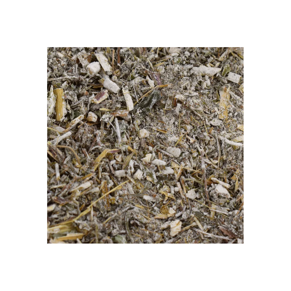 deworming medicinal plants