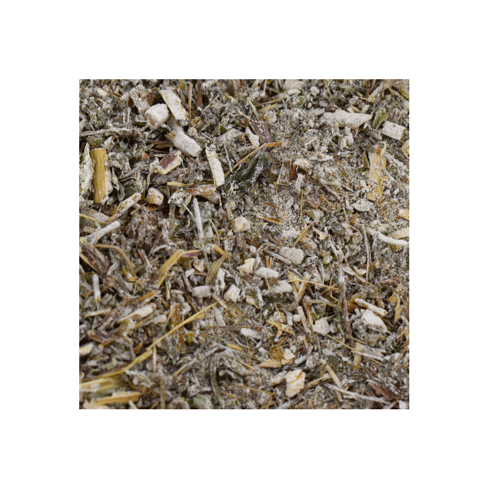 plantas medicinales antiparasitarias