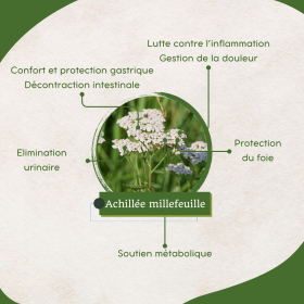 Achillea Bio 1 Kg