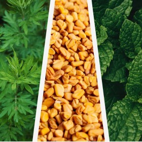 Prise d'état - Mix Fieno greco, Menta piperita, Artemisia | Appetito, Stato generale