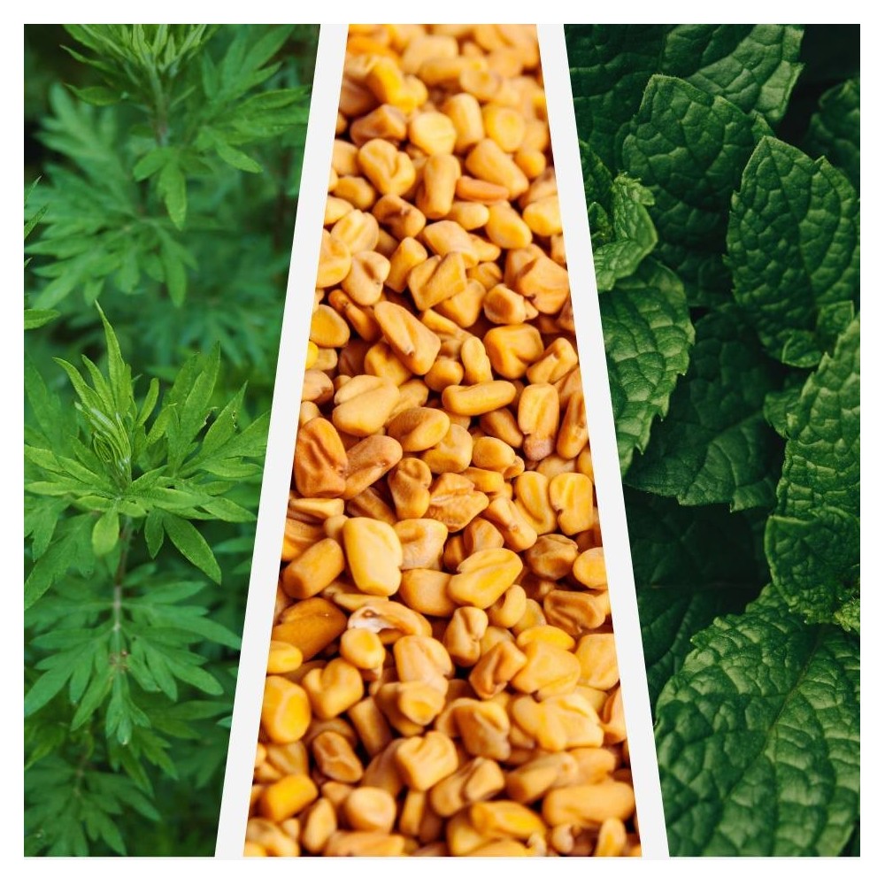 Prise d'état - Mix Görögszéna, Borsmenta, Mugwort | Étvágy, Általános állapot