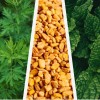 Mix Fenugrec, Menthe poivrée, Armoise | Appétit, Etat général