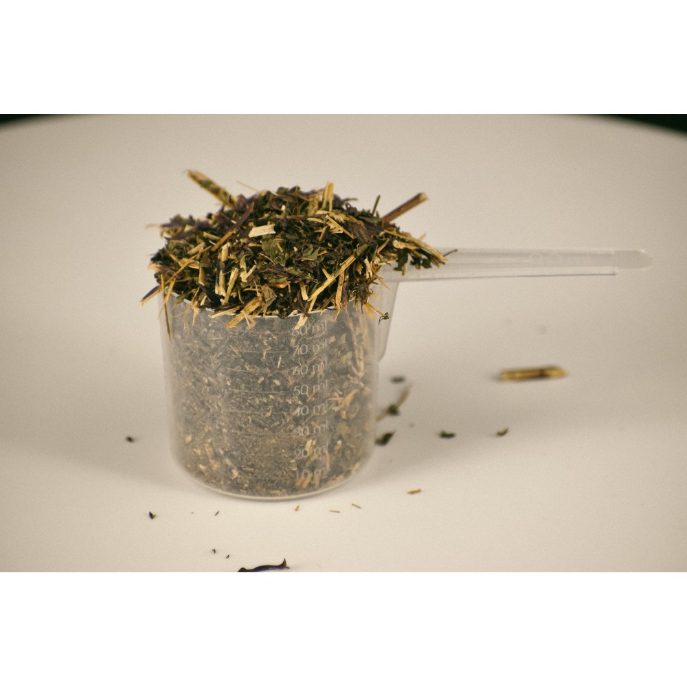 Hortelã-pimenta - Biológica - Digestão, Trânsito, Contracturas - 1kg