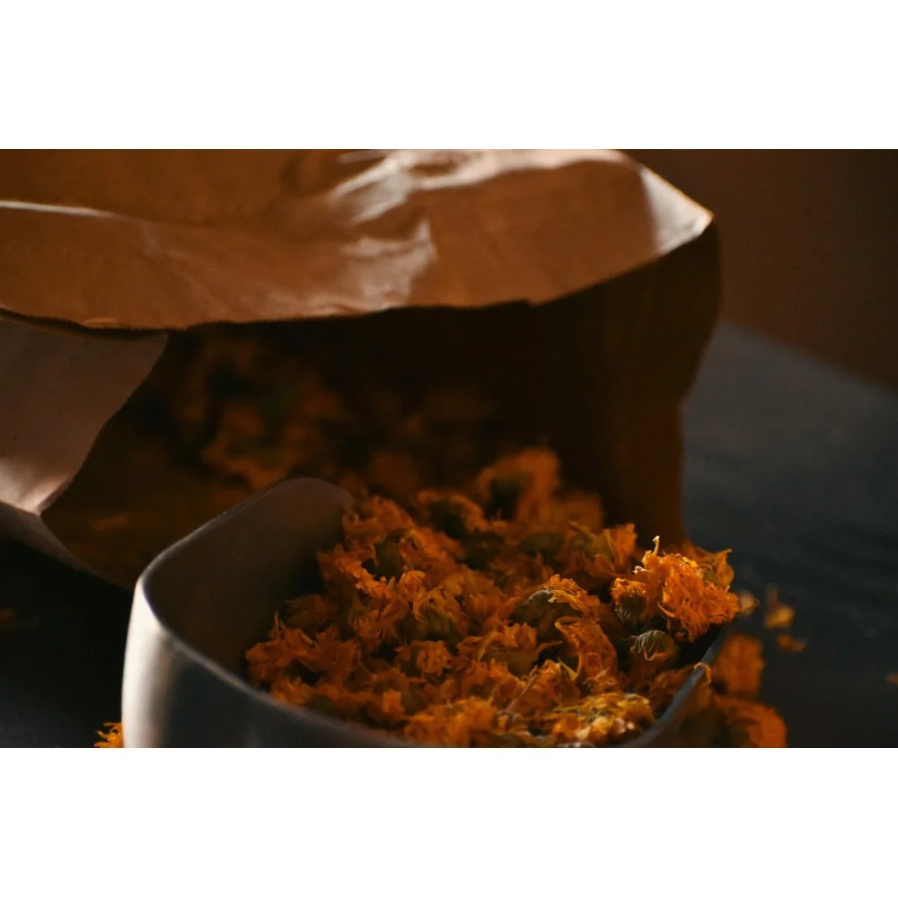 Macérât de Calendula Irritations et démangeaisons