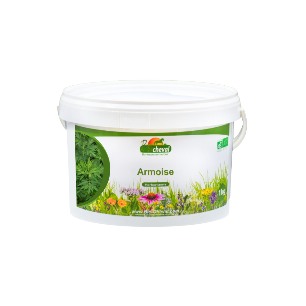 Armoise - Parasites, Décontraction et Transit