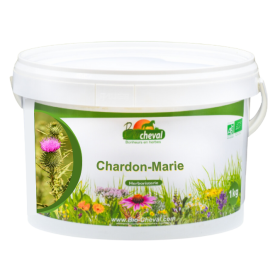 Chardon-Marie - Bio - Foie, Reins, Métabolisme