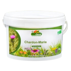 Chardon-Marie - Bio - Foie, Reins, Métabolisme