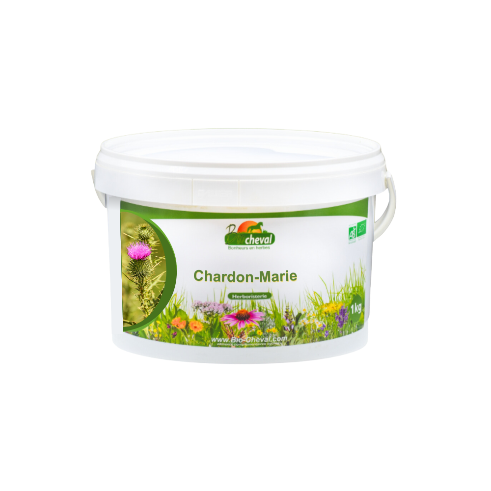 Chardon-Marie - Bio - Foie, Reins, Métabolisme