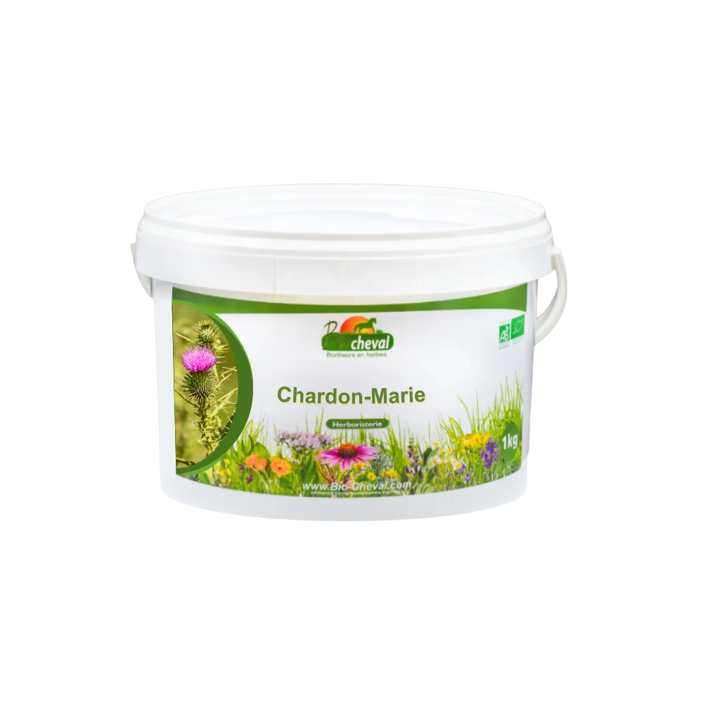Chardon-Marie - Bio - Foie, Reins, Métabolisme