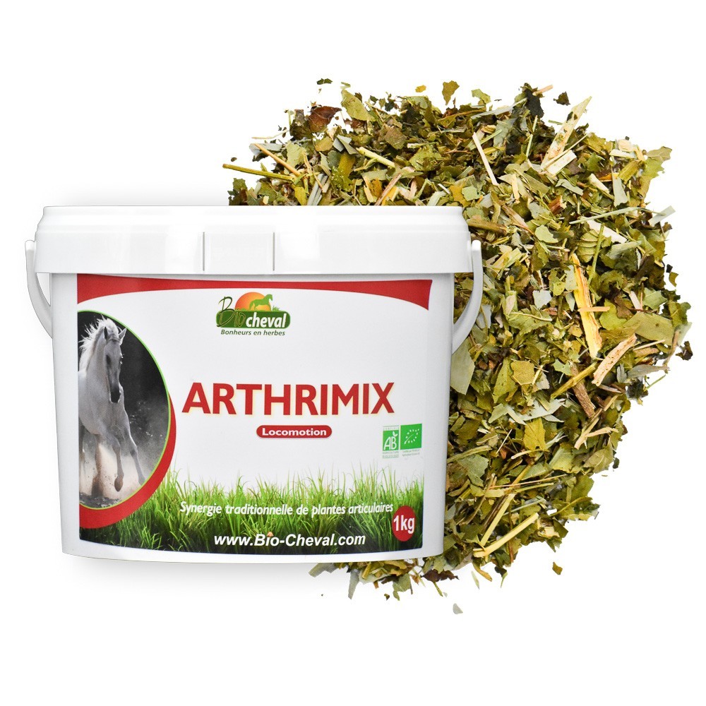 ArthriMix - Bio - Soutien articulaire