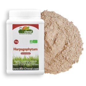 Harpagophytum - Bio - Lokomotorischer Komfort