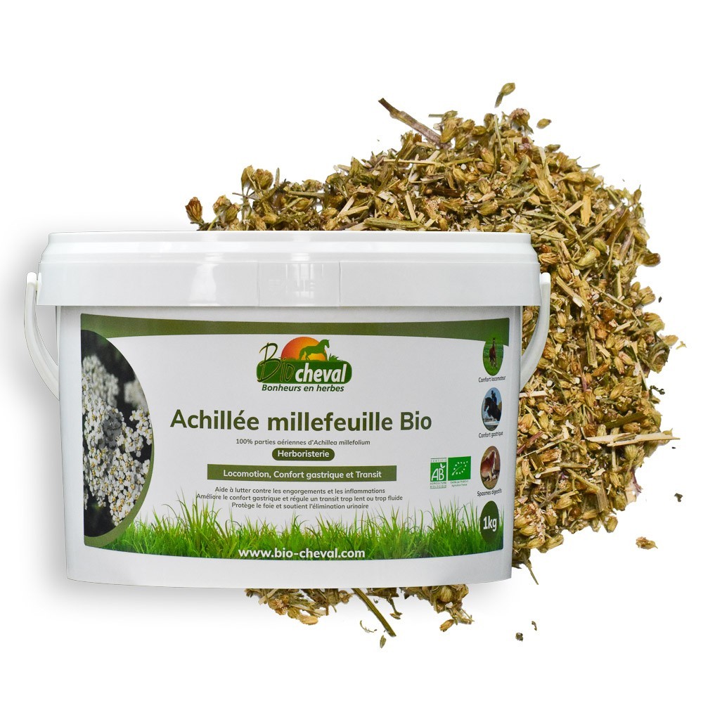 Yarrow - Biológico - Locomoção, Trânsito, Relaxamento - 1kg