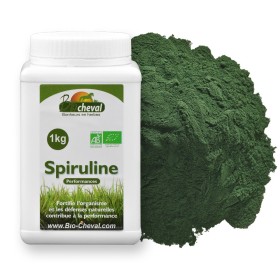 Spirulina in polvere