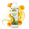 Macérât  de Calendula Irritations et démangeaisons