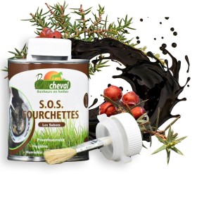 SOS fourchettes