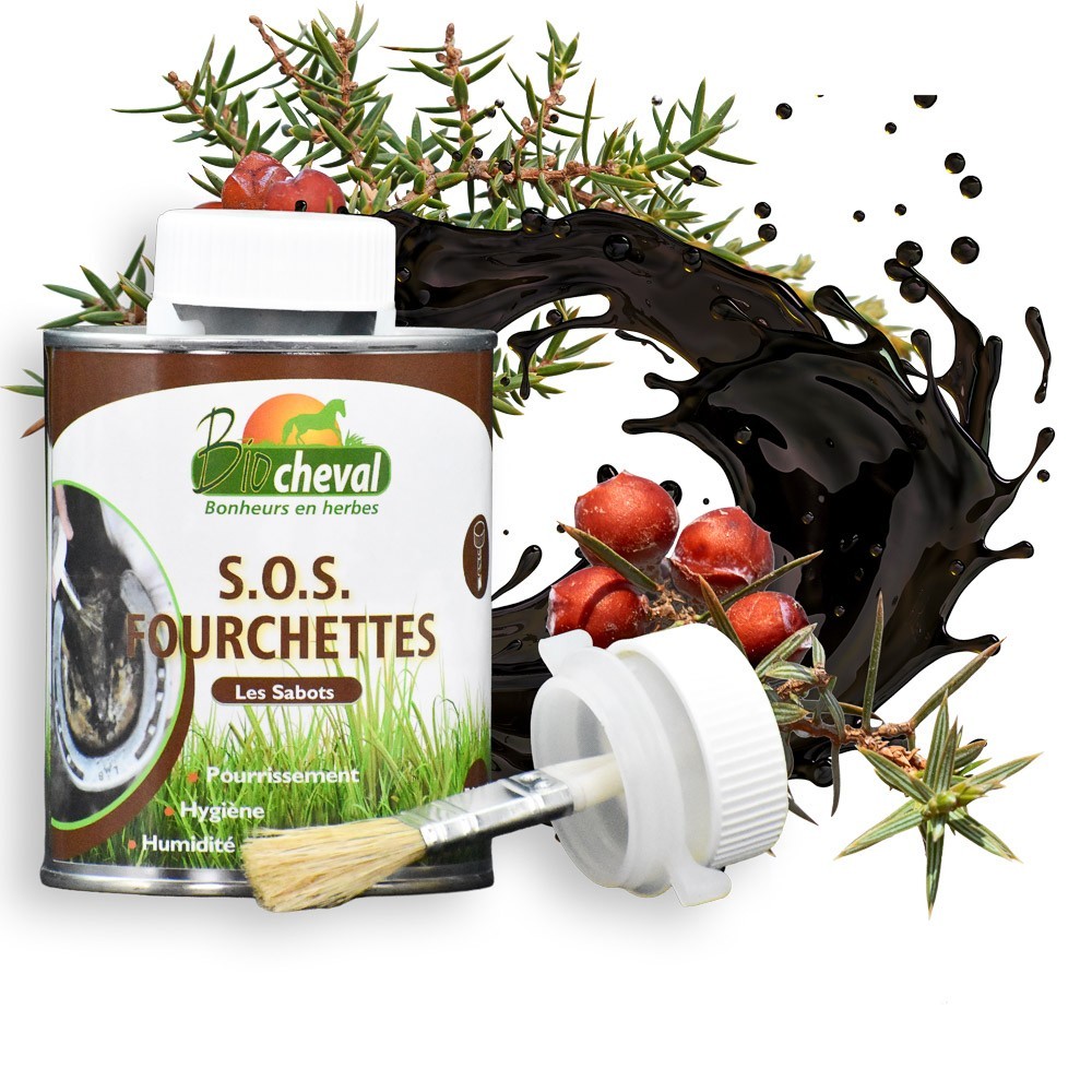 SOS fourchettes