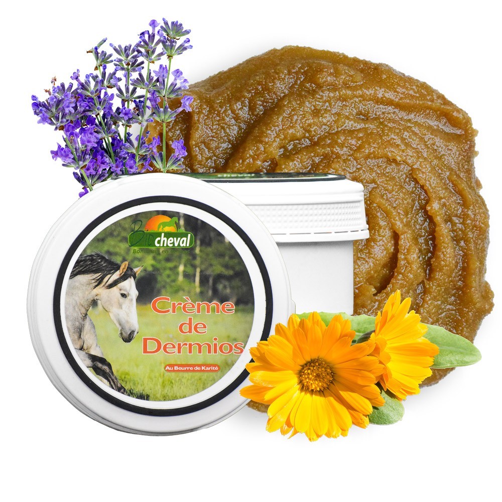 Dermios Creme - Juckreiz im Sommer