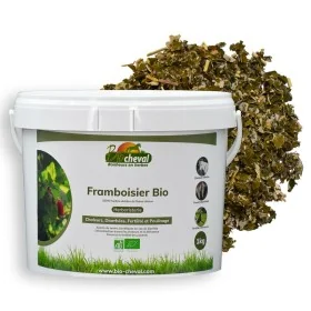Framboisier - Bio - Chaleurs & diarrhées - 1kg
