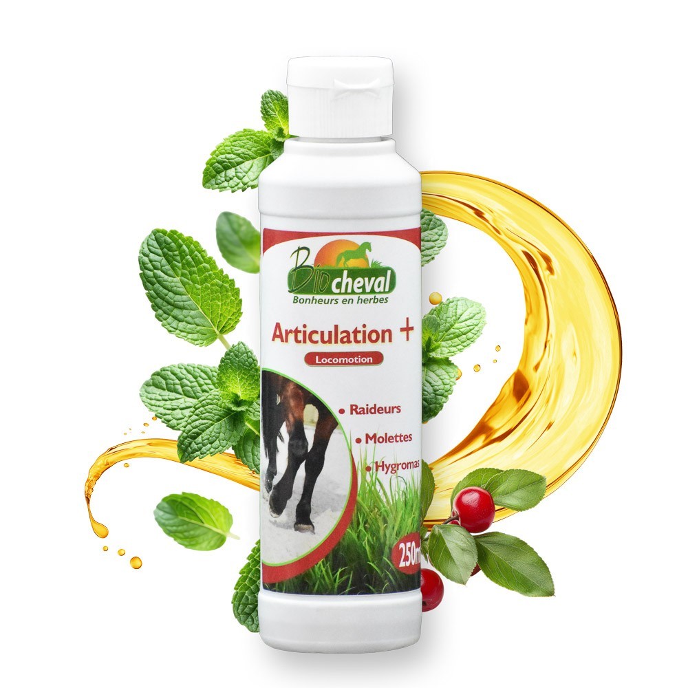 Articulation + Huile de massage Bio