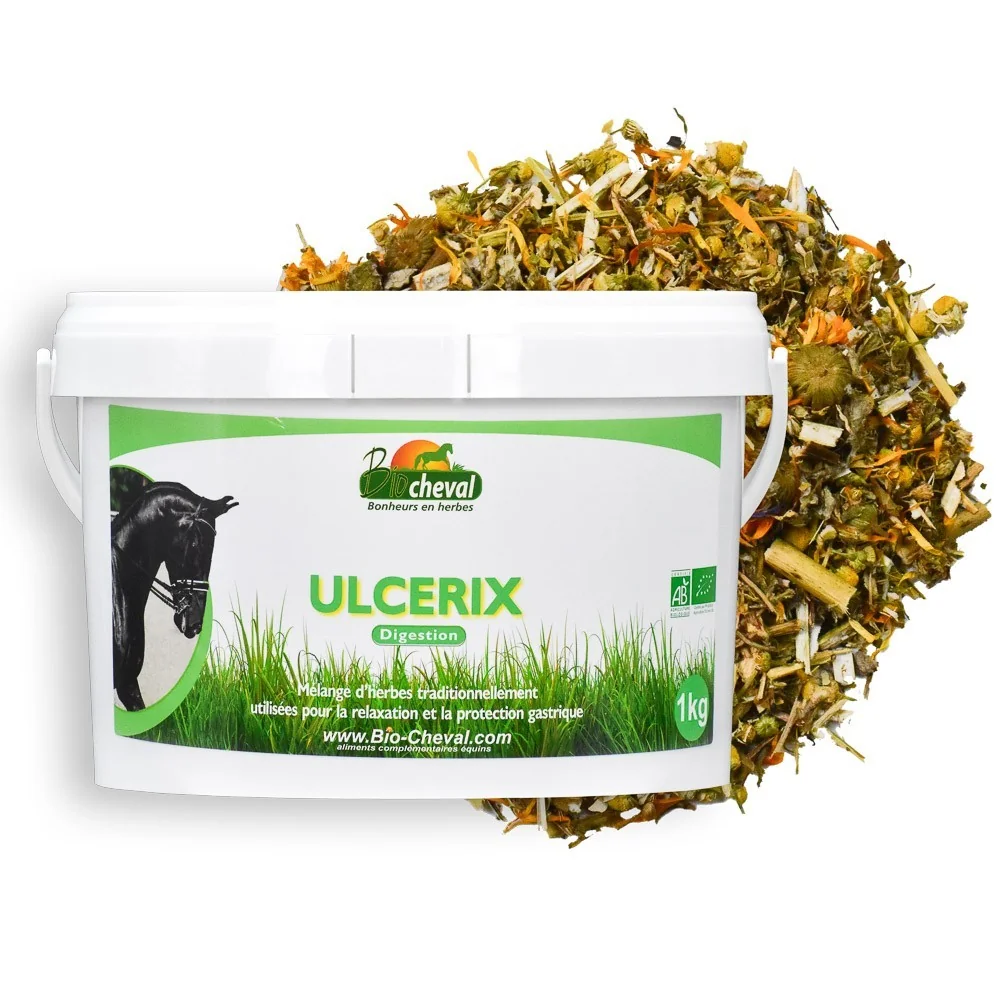 Ulcerix - Bio - Confort gastrique - Soutien sur la durée