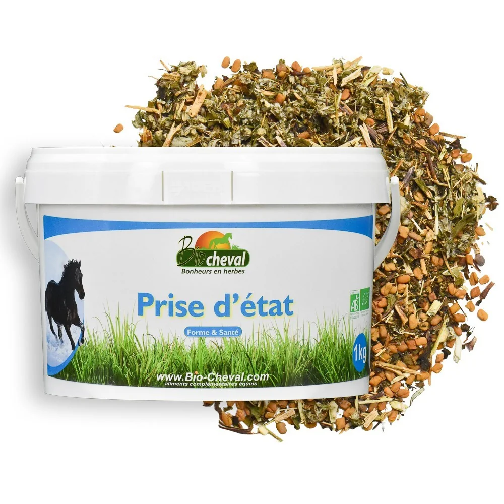 Prise d'état - Mix Fenugrec, Menthe poivrée, Armoise | Appétit, Etat général