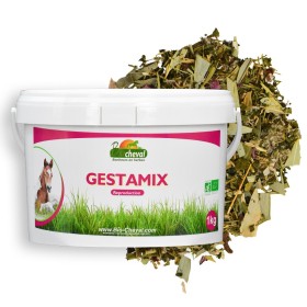 Gestamix