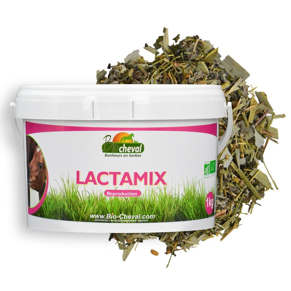 Lactamix - Szoptatós kanca