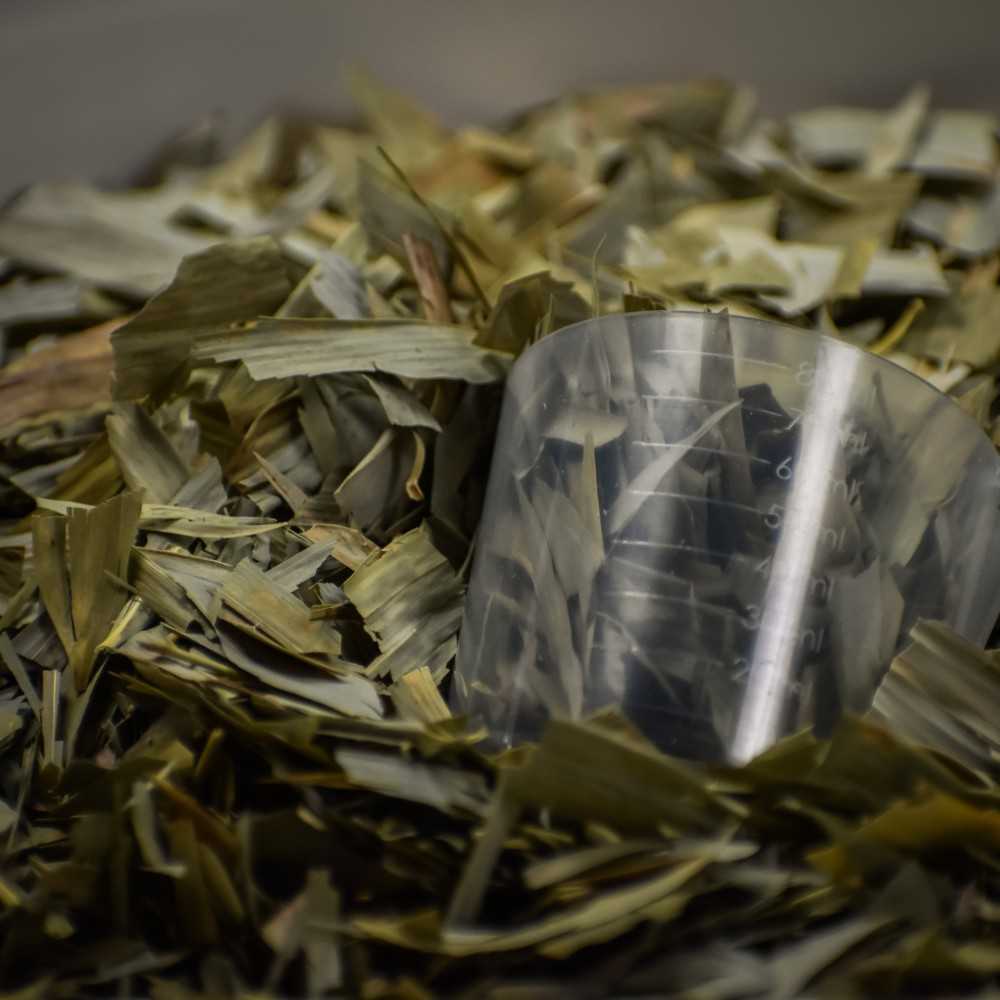 Bambou - Bio - Articulations, tendons, crins et sabots