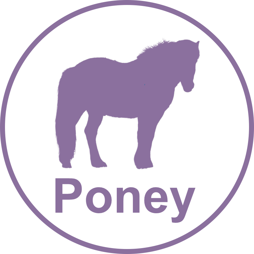 Poney.png