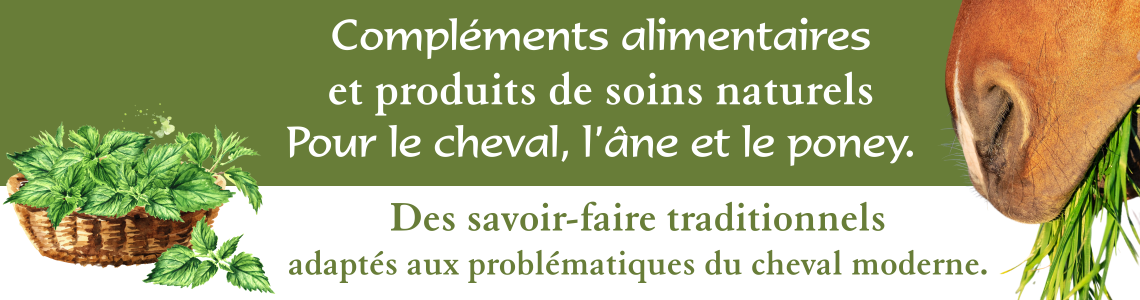 Des savoir faire traditionnels